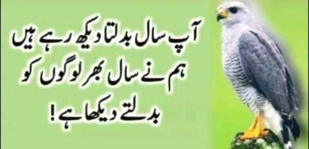 Social media post