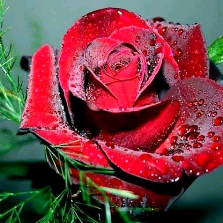 Beautiful Nature image