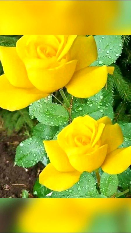 Beautiful Nature image