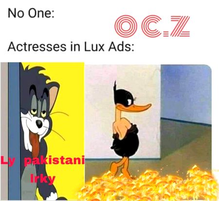 Memes & Satire image