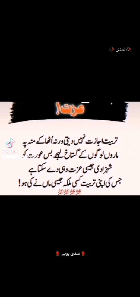 Attitude Quotes image