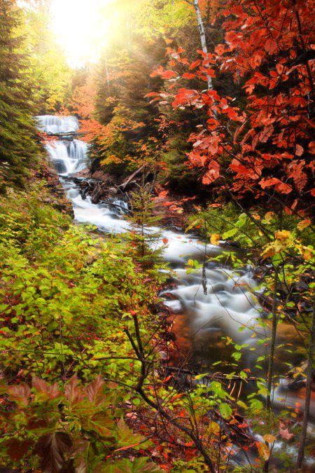 Beautiful Nature image