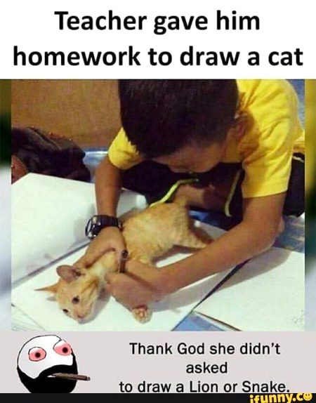 Memes & Satire image