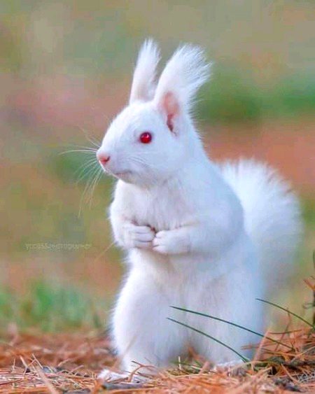 Beautiful Nature image