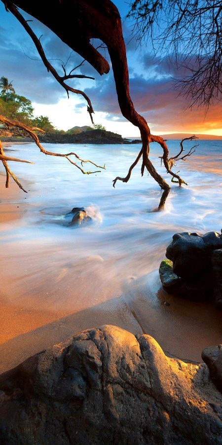 Beautiful Nature image