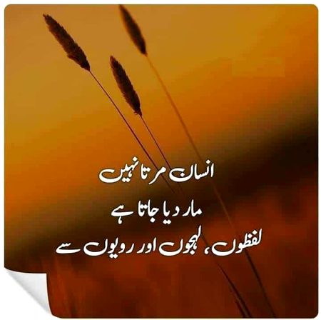 Motivational Quotes image