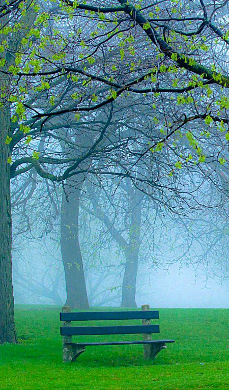 Beautiful Nature image