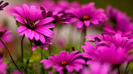 Beautiful Nature image
