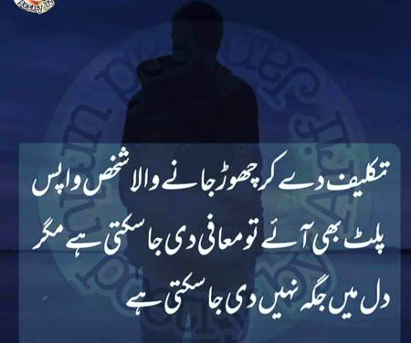 Sad Poetry image