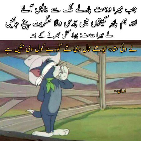 Memes & Satire image