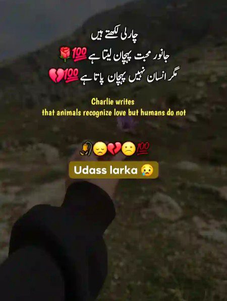 Social media post