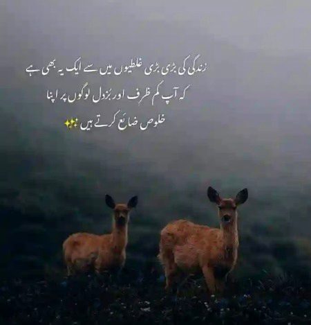 Sad Poetry image