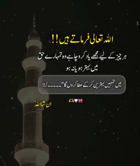 Islamic Quotes image