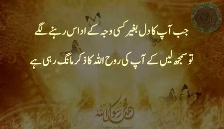 Islamic Quotes image