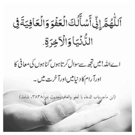 Islamic Quotes image