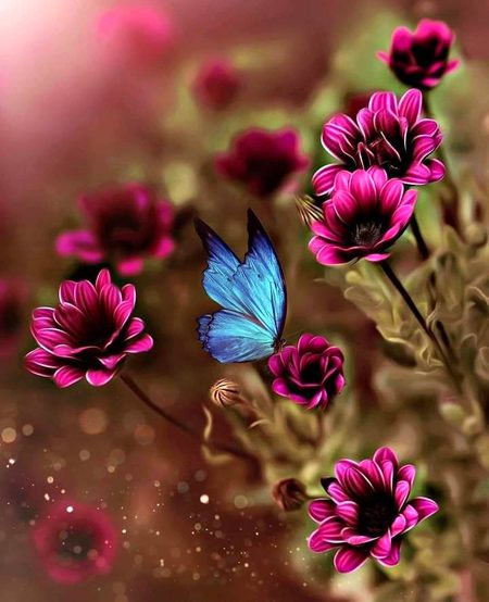 Beautiful Nature image