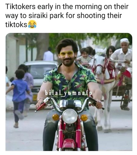 Memes & Satire image