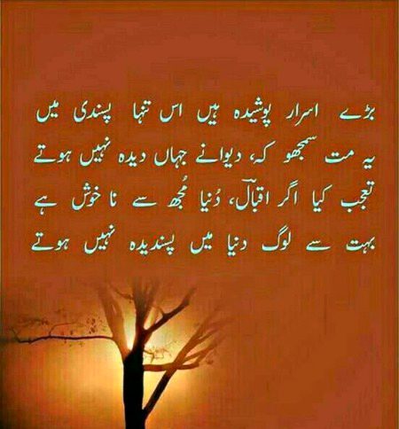 Attitude Poetry image