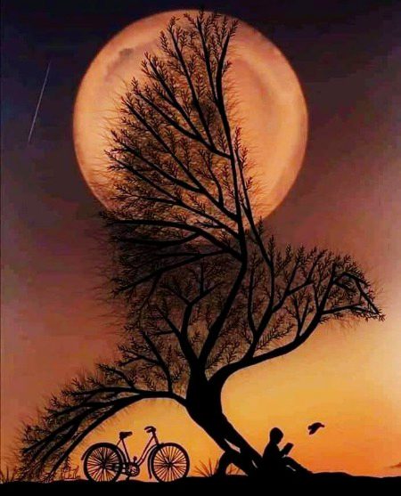 Beautiful Nature image