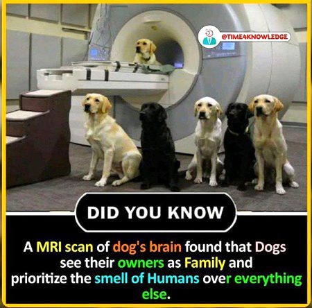 Interesting Posts image