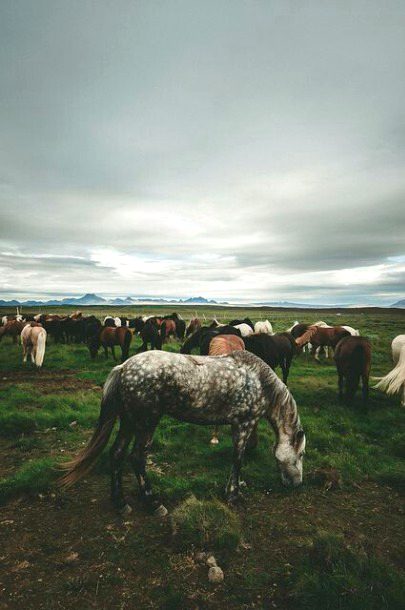 Beautiful Nature image