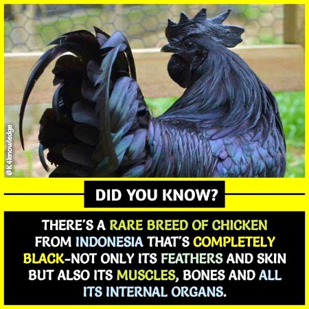 Interesting Posts image