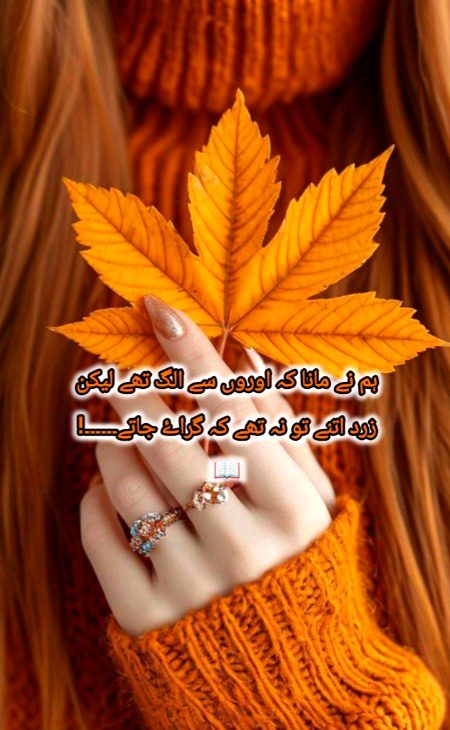 Attitude Poetry image