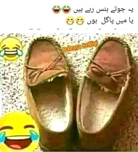 Memes & Satire image