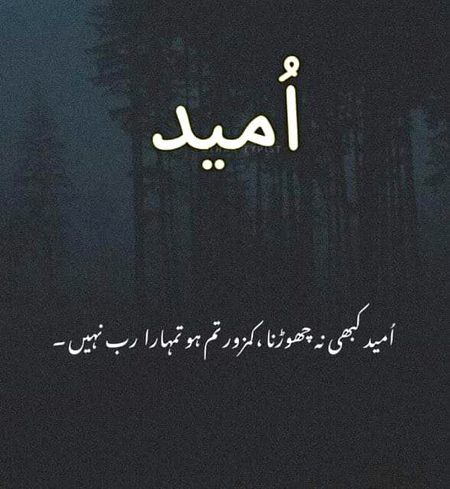 Social media post