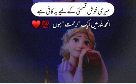 Attitude Quotes image