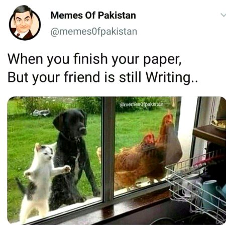 Memes & Satire image