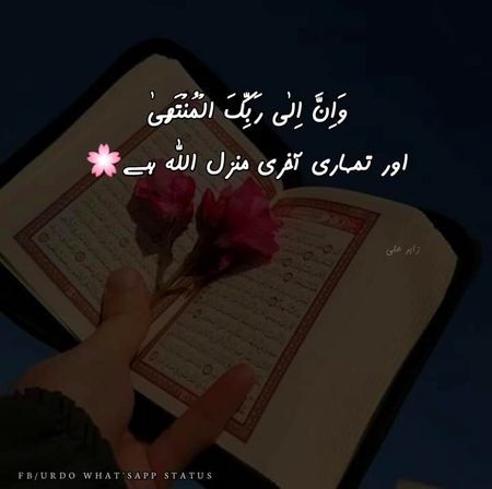 Islamic Quotes image