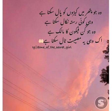 Islamic Quotes image