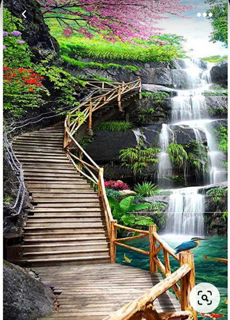 Beautiful Nature image