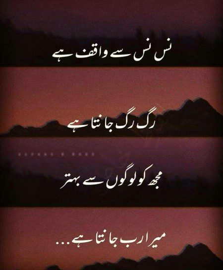 Islamic Quotes image