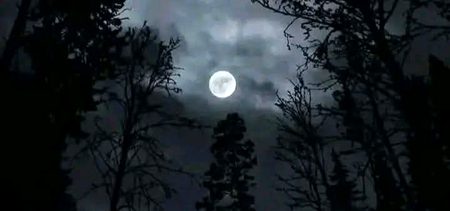 Beautiful Nature image