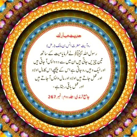 Islamic Quotes image