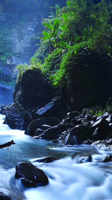 Beautiful Nature image