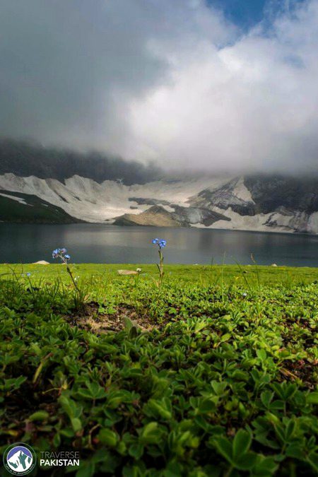 Beautiful Nature image