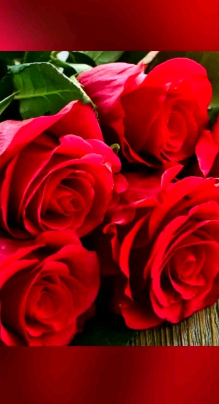 Beautiful Nature image