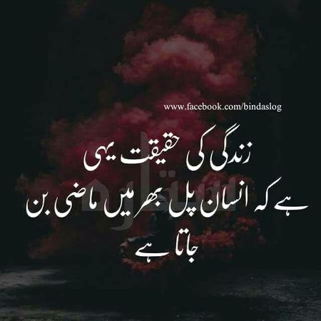 Life Advice image