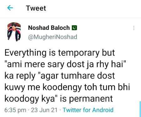 Memes & Satire image