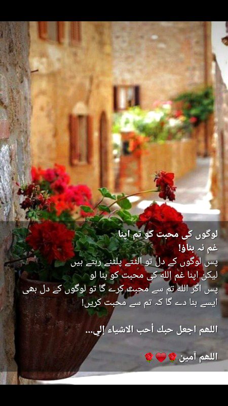 Islamic Quotes image