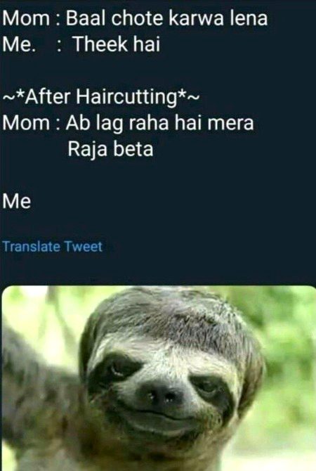 Memes & Satire image