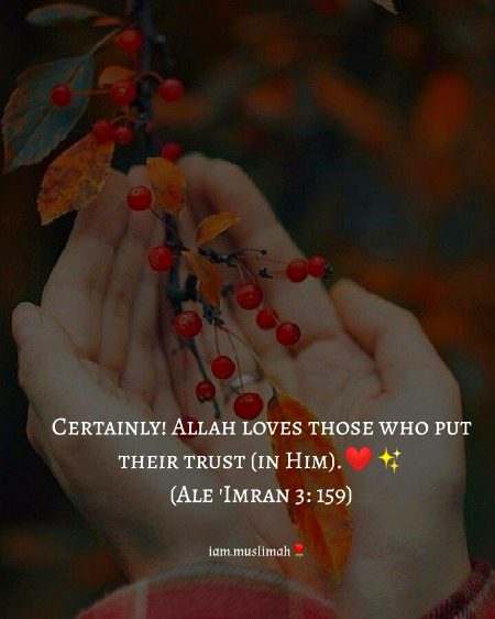 Islamic Quotes image