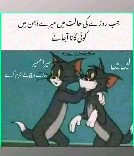 Memes & Satire image