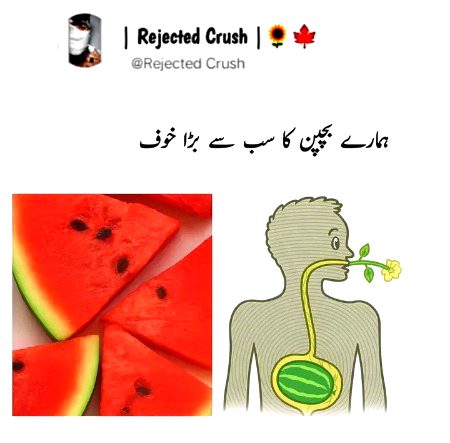 Memes & Satire image