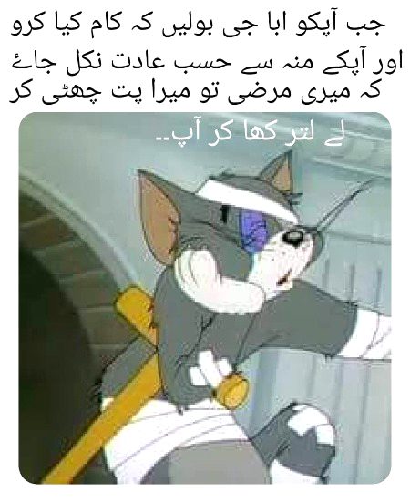 Memes & Satire image