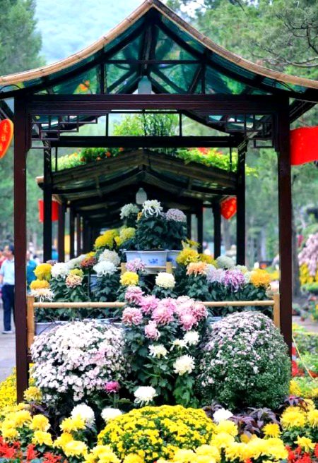 Beautiful Nature image