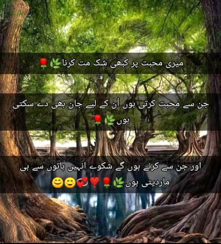 Attitude Quotes image